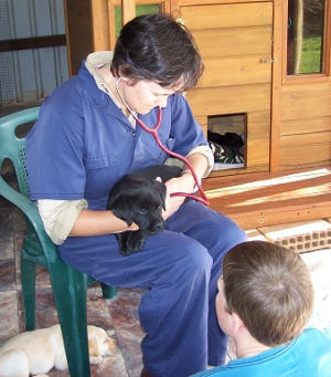 Vaccinations by Dr Sandra Goddard