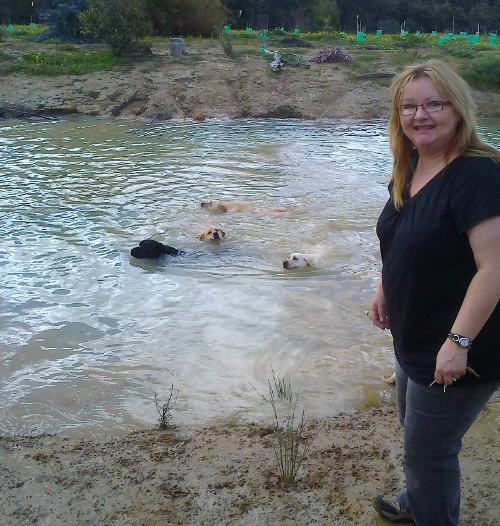 Alison with dogs swimming Oct 2012